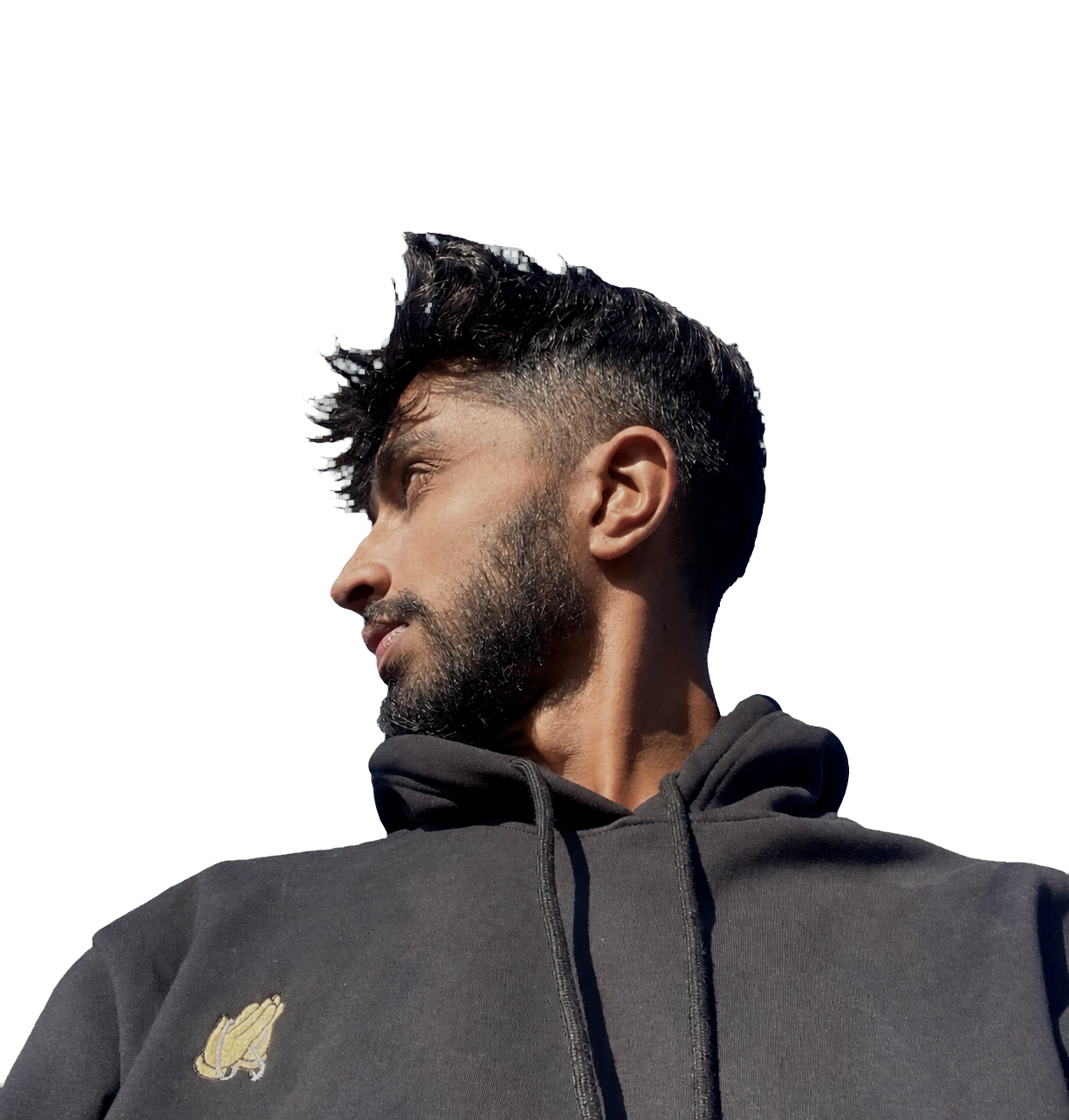 Anish Pangeni, startup founder and technology student